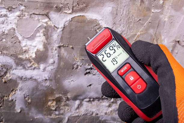 Mold Testing and Removal in Auburn, NE