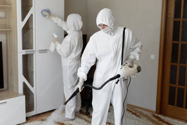 Mold Removal and Inspection in Auburn, NE